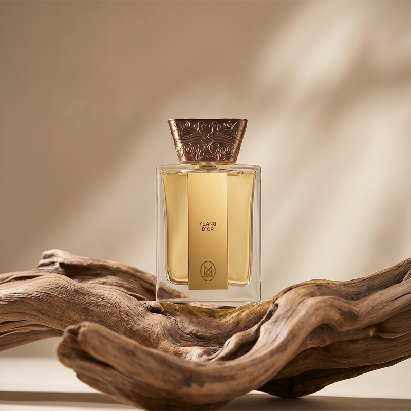 Ylang d’Or
