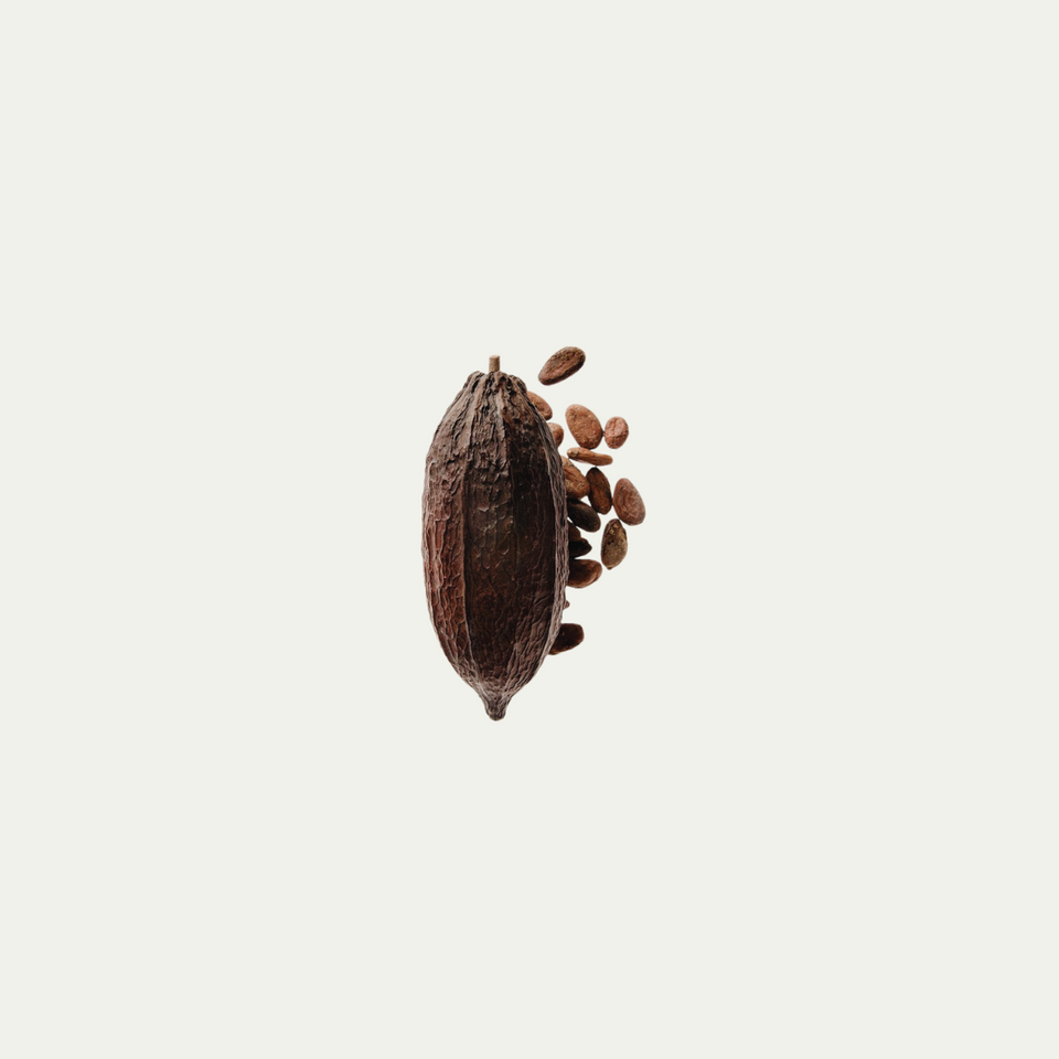 Bois Sacré | Maison du Roc | Fragrance Notes & Description Bois Sacré | Maison du Roc | Fragrance Notes & Description
